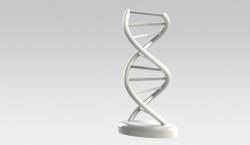 dynamic dna 3d models | Page 1 | STLFinder