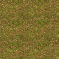 Dynamics and mix Free 3D model