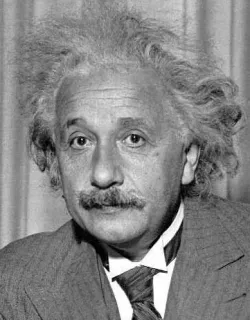 Frame with Einstein Free 3D model