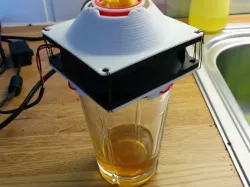 fruit fly trap