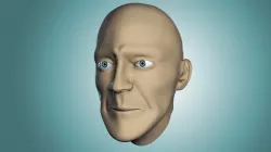 Head Base Mesh Free 3D model