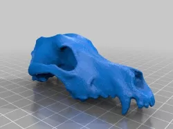 Lower Poly Dog Skull I'm Pretending is a Space Wolf Skull for Warhammer 40k