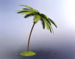 Palm Free 3D model