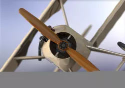 Propeller Free 3D model