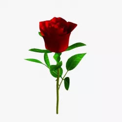 Realistic Rose 3D model