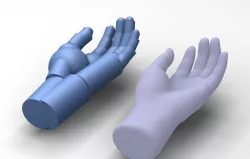 Reverse Engineered Hand model using simple features Free 3D model