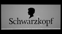 Schwarzkopf advertising board Free 3D model