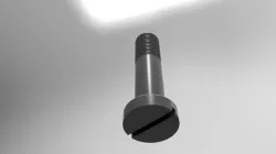 Screw d525 mm h25 mm Free 3D model