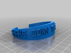 Shake Down the Thunder Notre Dame Bracelet