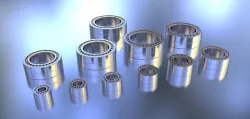SKF Needle Roller Bearings Free 3D model