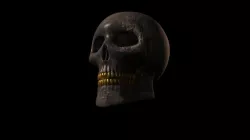 Skull 3D model