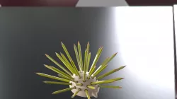 Spin-e Free 3D model
