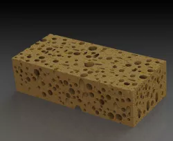Sponge Free 3D model