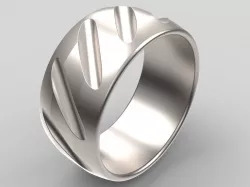 Titanium Ring Free 3D model