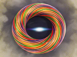 Torus shape Free 3D model