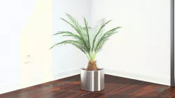 VP Phoenix Palm v2 Free 3D model