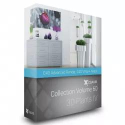 3D Plants IV CGAxis Models Volume 60 C4D 3D model