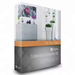 3D Plants IV CGAxis Models Volume 60 FBX OBJ 3D model