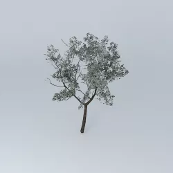 3D Tree 3D model