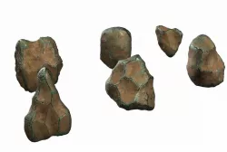 Alien Fantasy or Mineral rocks PBR Low-poly  3D model