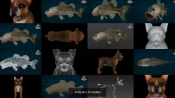 Animals 3D Model Collection