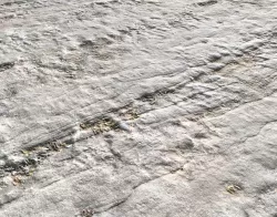 Arid White Ground PBR Texture