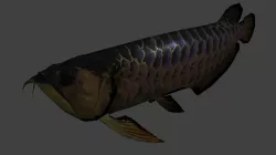 Arowana Low-poly  3D model
