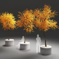 autumn tree 3D model