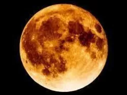 boold moon  3D model