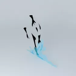Commersons Dolphins 3D model