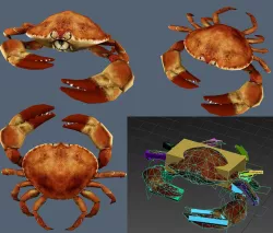 crab lobster 3D model