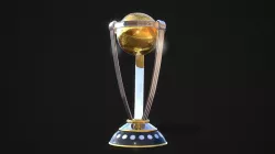 Cricket World Cup 3D model