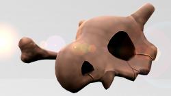 Cubone - Skull And Bone 3D model