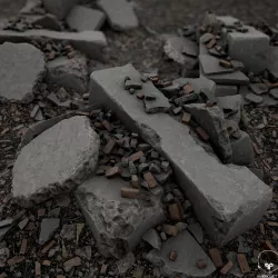 Debris Piles  3D model