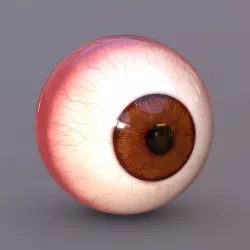EYE Painted for 3D printing 3D model