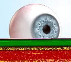 Eyeball  3D model