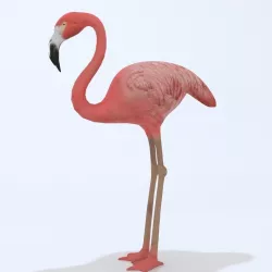 Flamingo Low-poly  3D model
