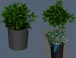 flower 3D model