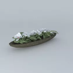 Flower Boat 3D model