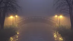 Foggy Nature 3D 3D model