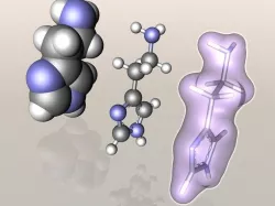 Histamine molecule 3D model