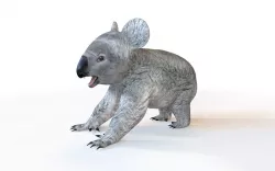 Koala Rigged 3D model