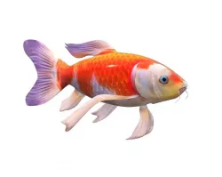 Koi Fish Low-poly  3D model