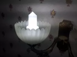 LED Lamp Diffuser