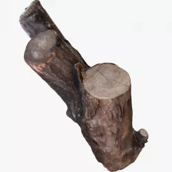 Logs model Low-poly  3D model