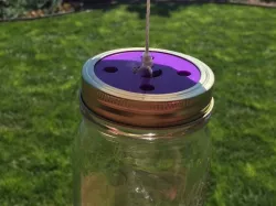 Mason Jar Fly Trap