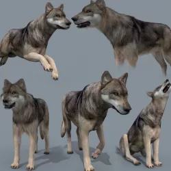 My Wolf - 3d animated wolf model Low-poly  3D model