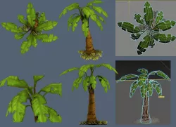 palm flora 3D model