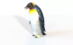 Penguin Rigged 3D model