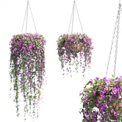 Petunias set in pots - 2 models 3D model